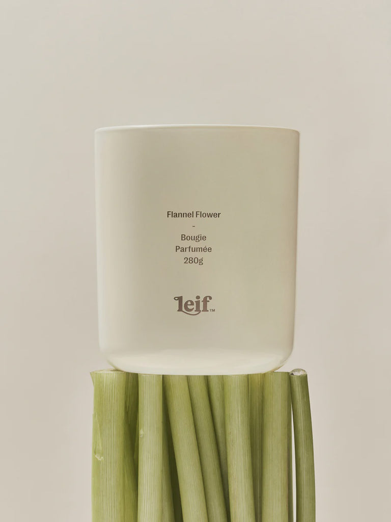 Leif - Flannel Flower Candle  280g